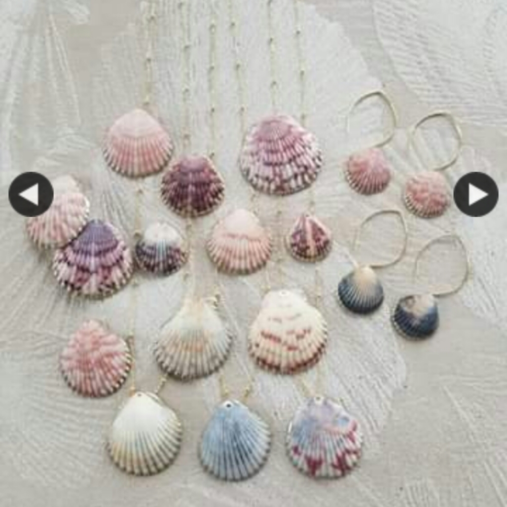 Seashells dipped in 18k gold